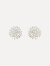 Oscar de la Renta Beaded Cluster Earrings