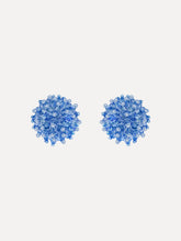 Oscar de la Renta Beaded Cluster Earrings
