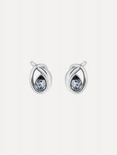Oscar de la Renta Looped Teardrop Earrings