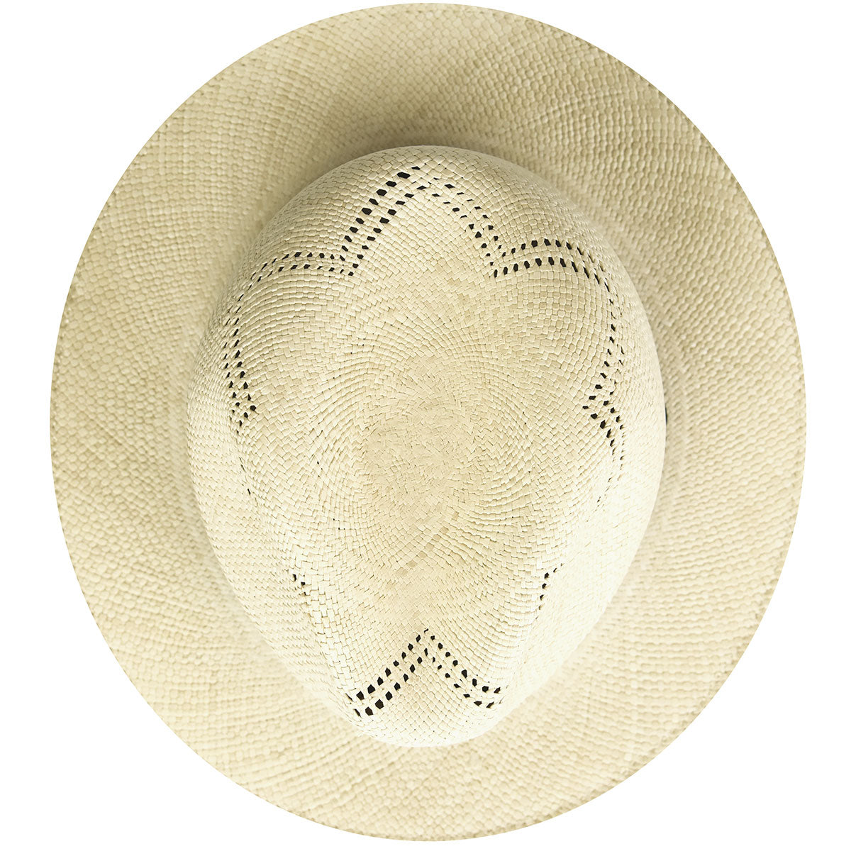 Bailey 1922 Arion Fedora - Past Season Sale Hot Deal