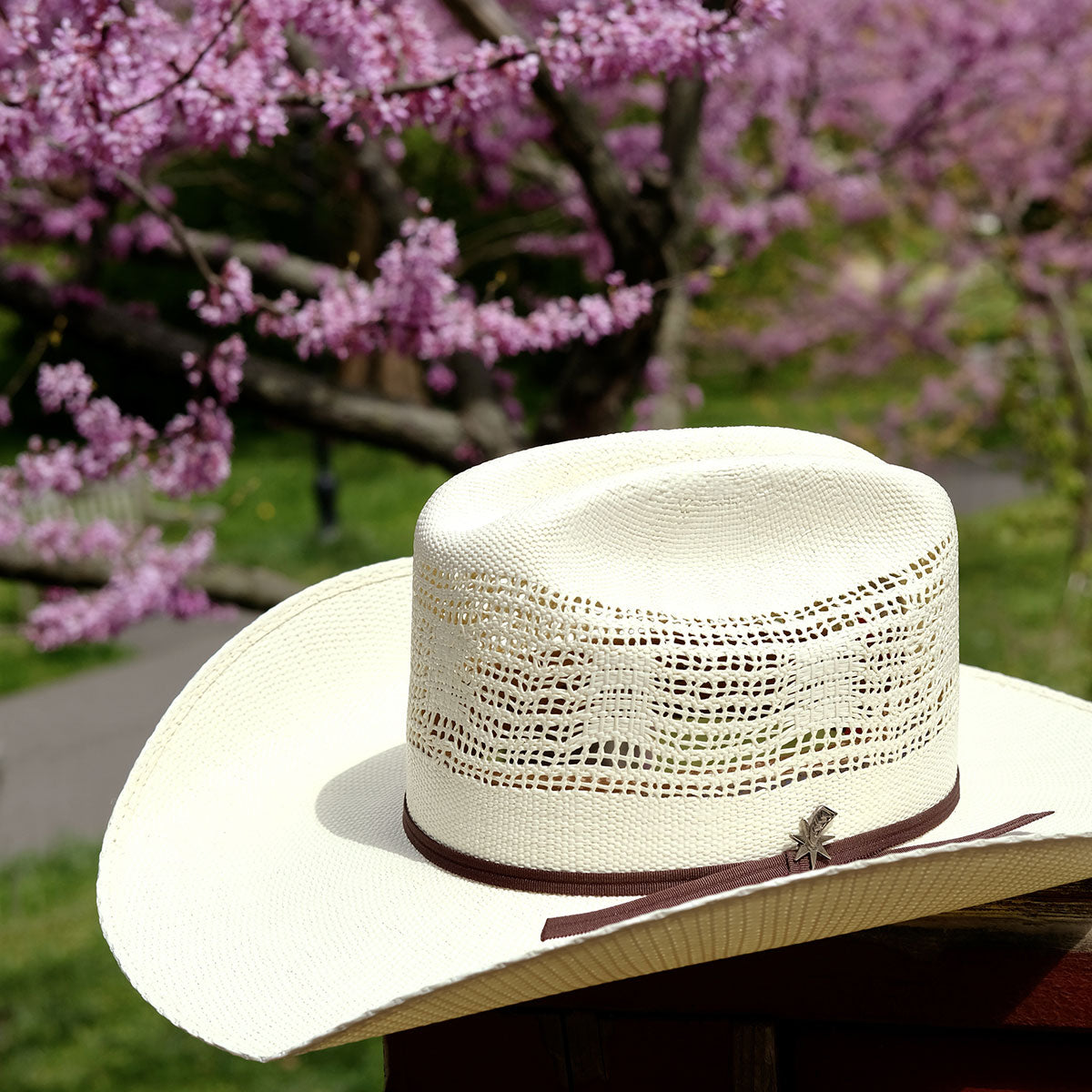 Ricker Hat Bargain