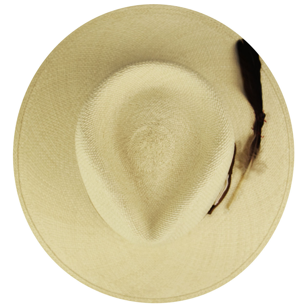 Renegade Foss Fedora Affordable